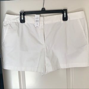 Ann Taylor Shorts